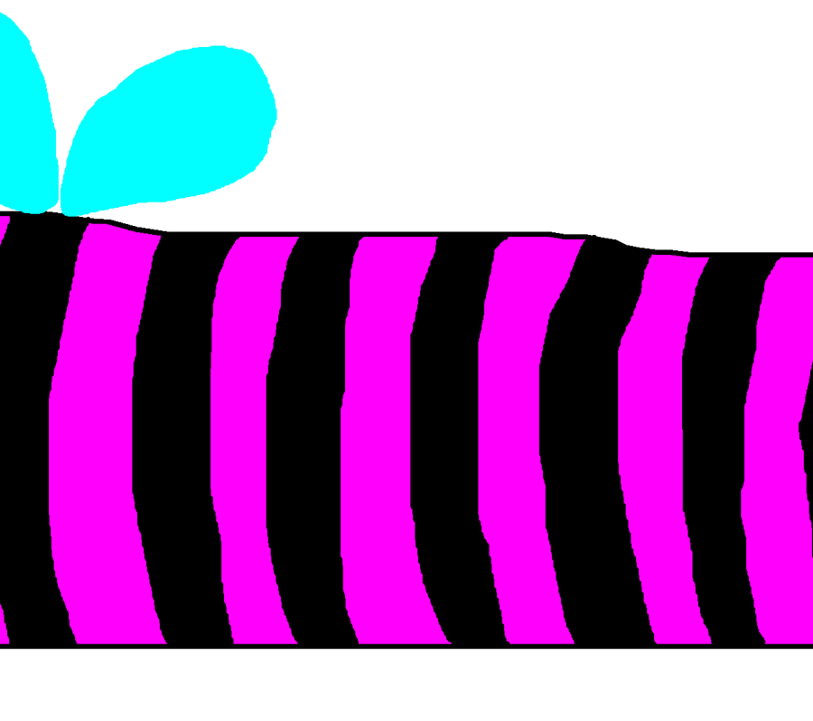 bee' you on page 10!