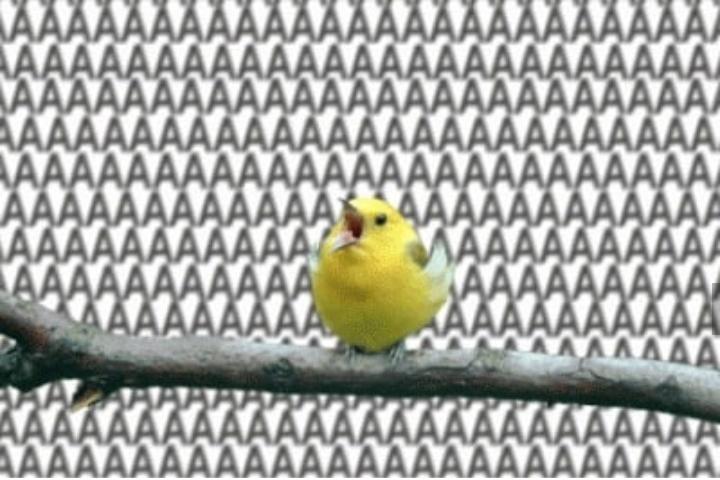 ᴬᴬᴬᴬᴬᴬᴬᴬᴬᴬᴬᴬᴬᴬᴬᴬᴬᴬᴬᴬᴬᴬᴬᴬᴬᴬᴬᴬᴬᴬᴬᴬᴬᴬᴬᴬᴬᴬᴬᴬᴬᴬᴬᴬᴬᴬᴬᴬᴬᴬᴬᴬᴬᴬᴬᴬᴬᴬᴬᴬᴬᴬᴬᴬᴬᴬᴬᴬᴬᴬᴬᴬᴬᴬᴬᴬᴬᴬᴬᴬᴬᴬᴬᴬᴬᴬᴬᴬᴬᴬᴬᴬᴬᴬᴬᴬᴬᴬᴬᴬᴬᴬᴬᴬᴬᴬᴬᴬᴬᴬᴬᴬᴬᴬᴬᴬᴬᴬᴬᴬᴬᴬᴬᴬᴬᴬᴬᴬᴬᴬᴬᴬᴬᴬᴬᴬᴬᴬᴬᴬᴬᴬᴬᴬᴬᴬᴬᴬᴬᴬᴬᴬᴬᴬᴬᴬᴬᴬᴬᴬᴬᴬᴬᴬᴬᴬᴬᴬᴬᴬᴬᴬᴬᴬᴬᴬᴬᴬᴬᴬᴬᴬᴬᴬᴬᴬᴬᴬᴬᴬᴬᴬᴬᴬᴬᴬᴬᴬᴬᴬᴬ