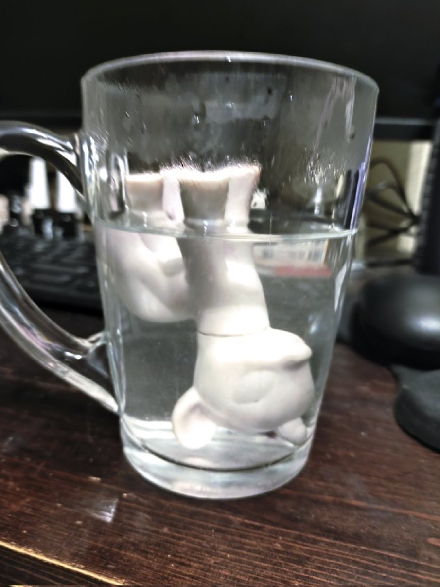 waterboarding time,!!