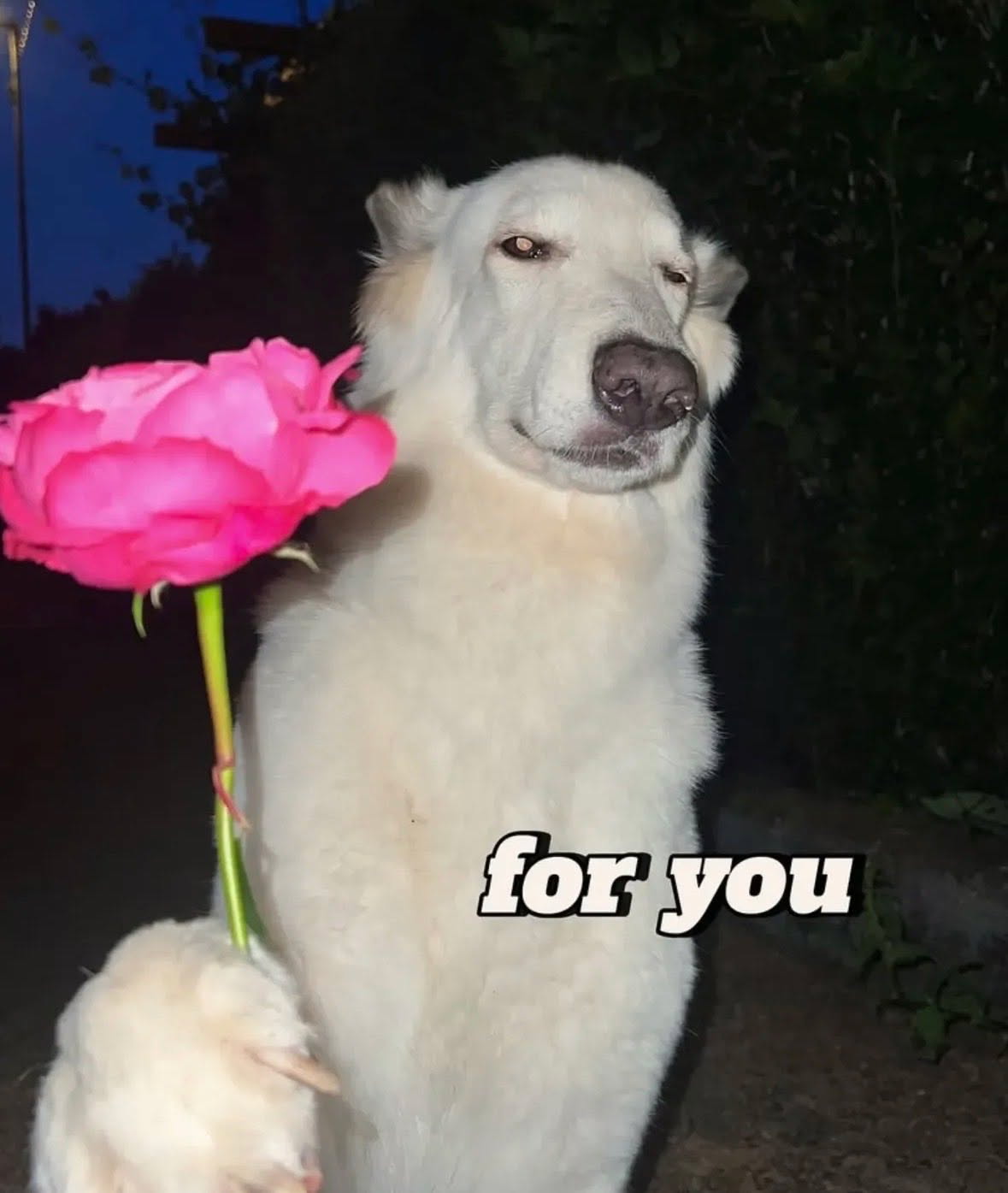 Just woke up from a sex nap btw