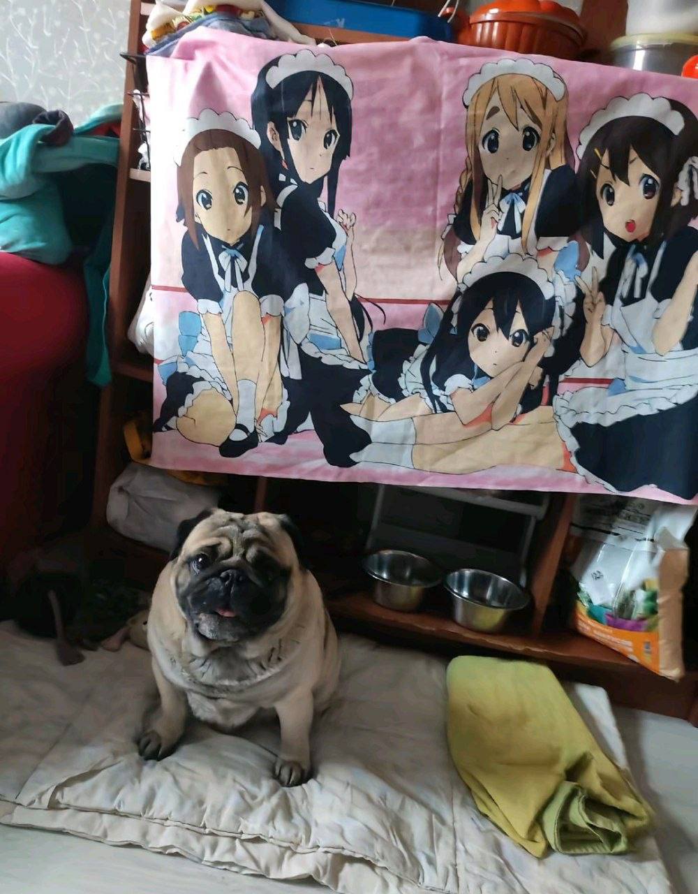 me and my jjba posters