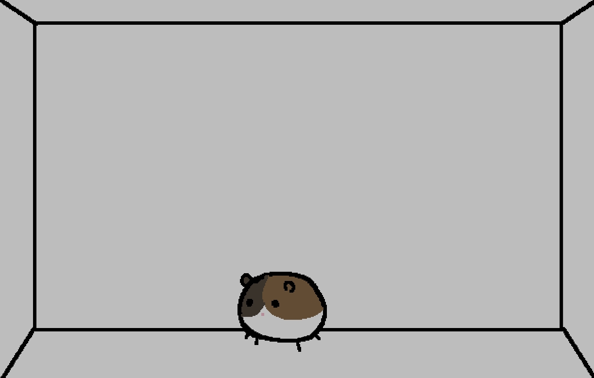 Hello /s4s/ here is this guinea