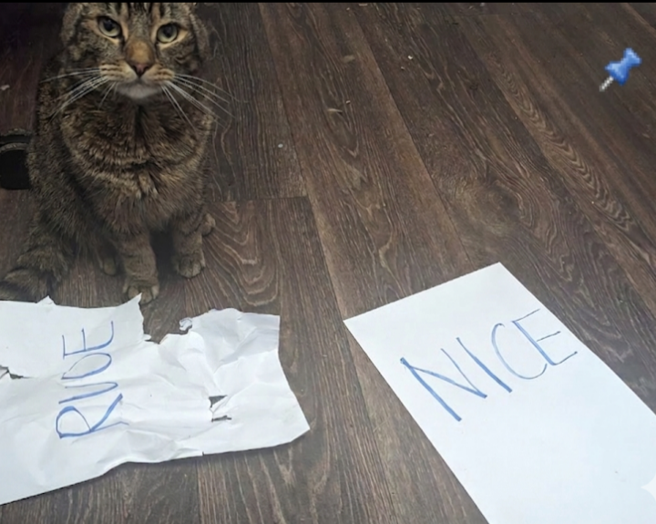 >reminder to be nice or THIS will happen to you!!!!!!