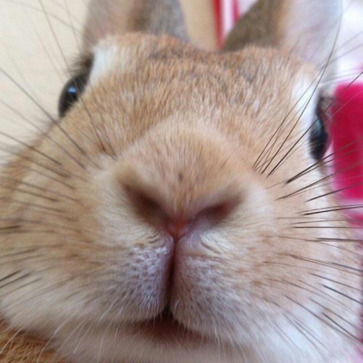 I see what you're doing